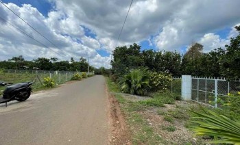 Đất sào giá đầu tư, hoặc muốn về vườn nghỉ dưỡng