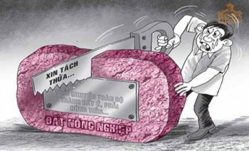 TP HCM: Sửa đổi Quyết định 33 về tách thửa, đất 2000 m2 trở lên phải lập dự án