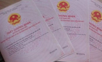 Bán Gấp Đất Thổ Cư 100%, Sổ Riêng,XDTD Giá 250tr/100m2