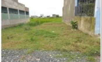 1.	Làm ăn thua lỗ, nên cần bán gấp lô đất 600 m2 mặt tiền đường Tân Liễu, Bình Chánh. SHR giá 3,2 tỷ. LH: Mr.Nam_0961153796