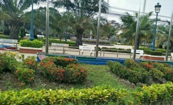 Đất đối diện công viên Chợ Cần Đước – SHR – giá 550tr