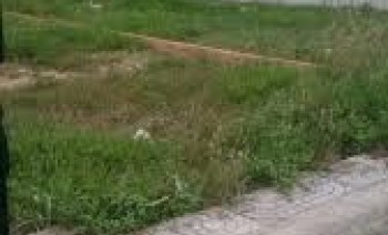 Thua độ cần bán gấp lô đất mặt tiền đường BỜ NHÀ THỜ Gía siêu hót 550tr 